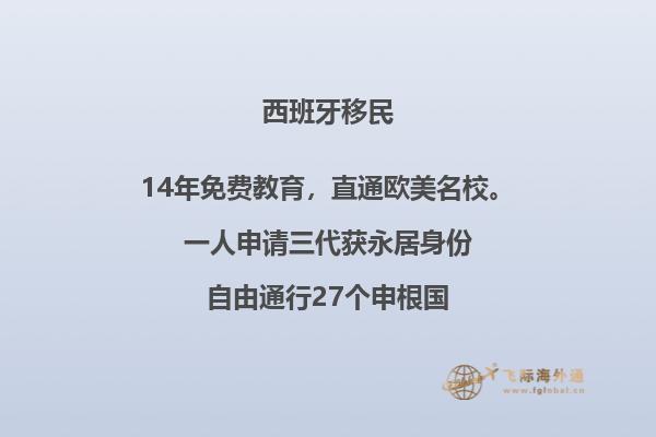 西班牙移民无犯罪记录证明