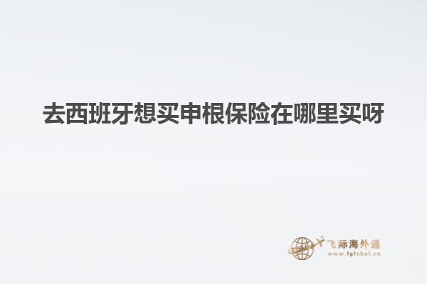 去西班牙想买申根保险在哪里买呀