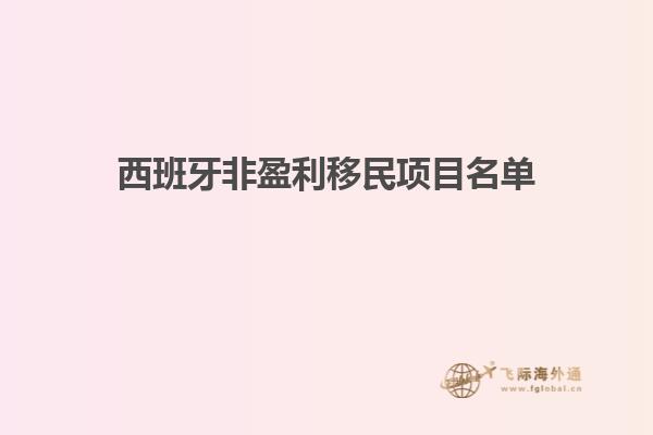 西班牙非盈利移民项目名单
