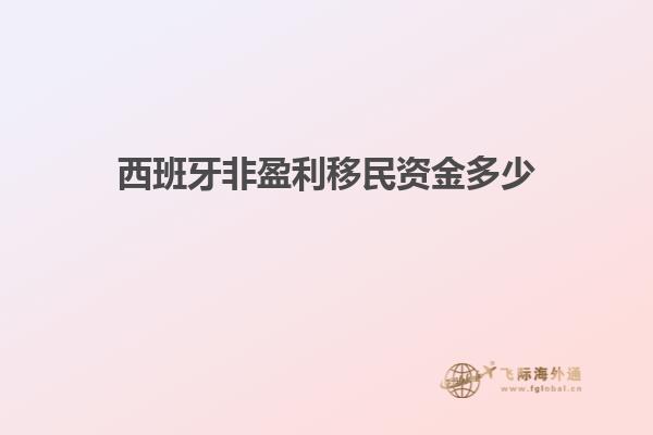 西班牙非盈利移民资金多少