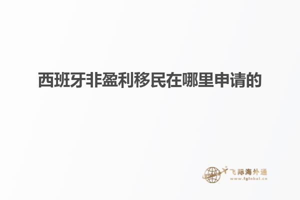西班牙非盈利移民在哪里申请的
