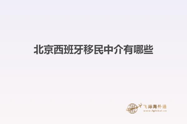 北京西班牙移民中介有哪些