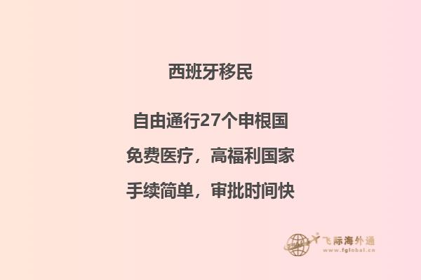 西班牙非盈利拒签申诉成功率