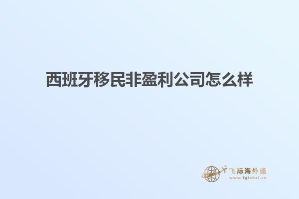 西班牙移民非盈利公司怎么样