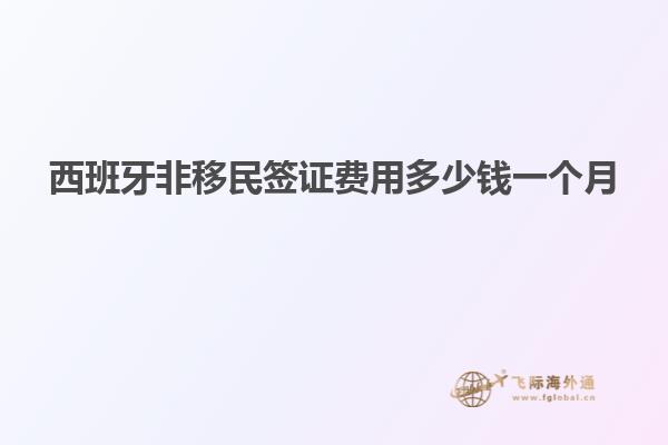 西班牙非移民签证费用多少钱一个月