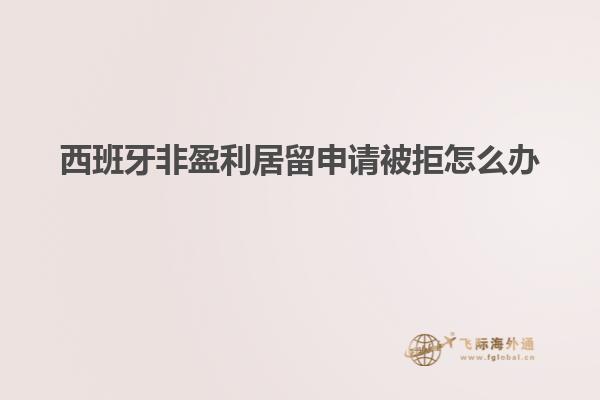 西班牙非盈利居留申请被拒怎么办
