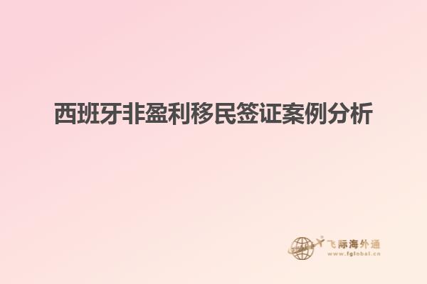 西班牙非盈利移民签证案例分析