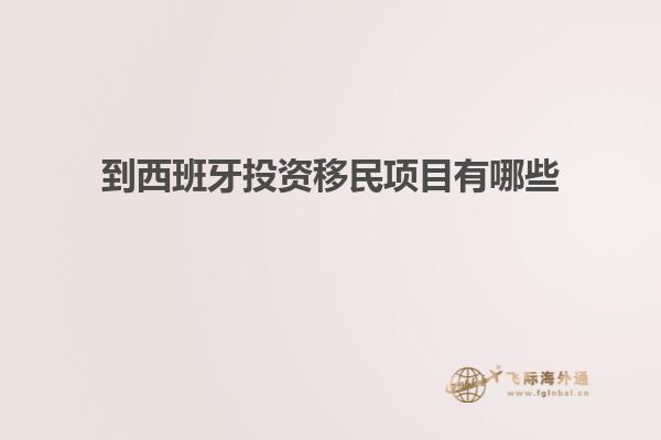到西班牙投资移民项目有哪些