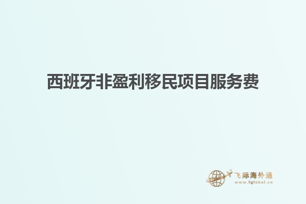 西班牙非盈利移民项目服务费