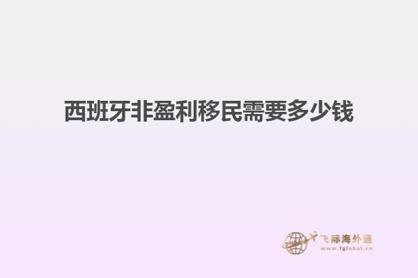 西班牙非盈利移民需要多少钱