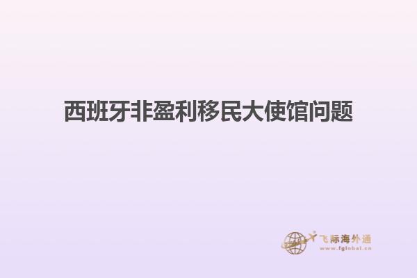 西班牙非盈利移民大使馆问题