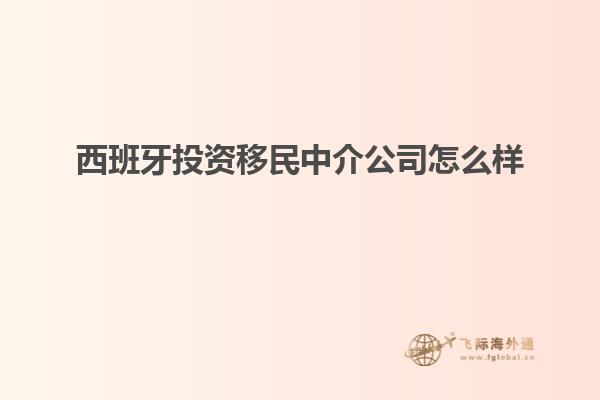西班牙投资移民中介公司怎么样