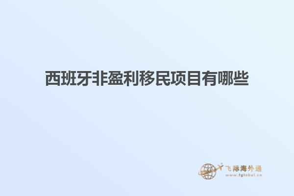 西班牙非盈利移民项目有哪些