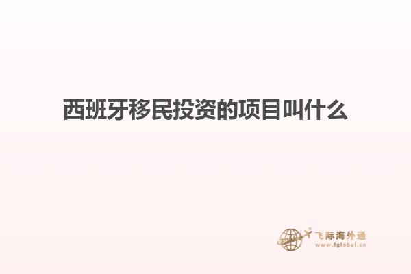 西班牙移民投资的项目叫什么