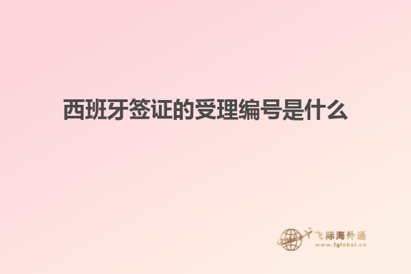 西班牙签证的受理编号是什么