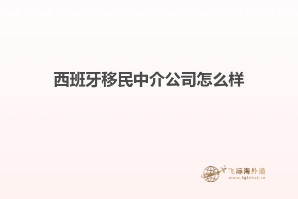 西班牙移民中介公司怎么样