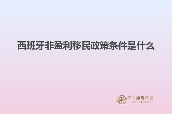 西班牙非盈利移民政策条件是什么