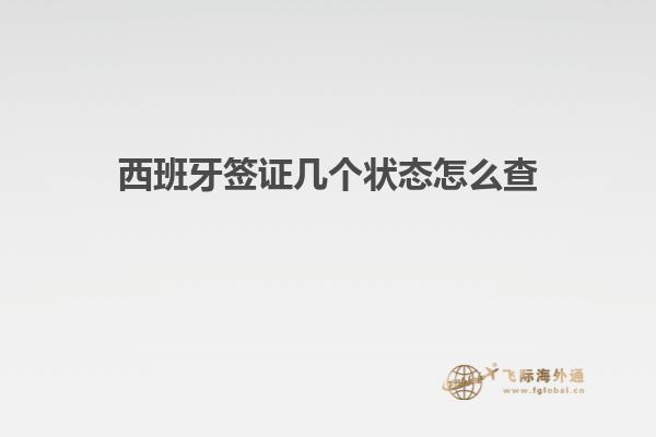 西班牙签证几个状态怎么查