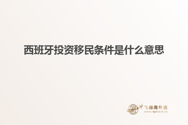 西班牙投资移民条件是什么意思