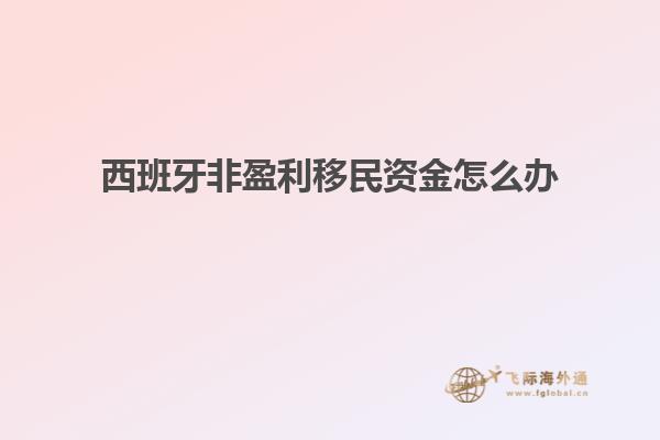 西班牙非盈利移民资金怎么办