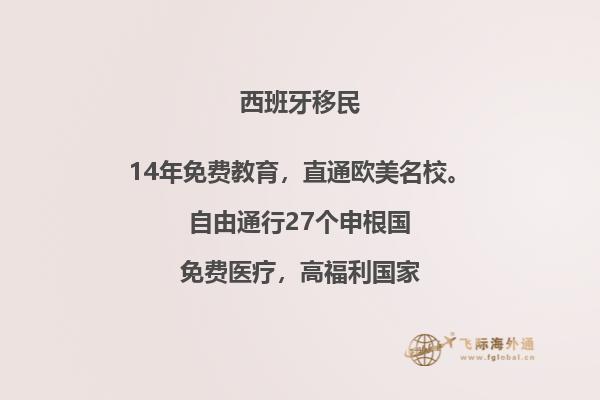 西班牙移民有移民监护人吗