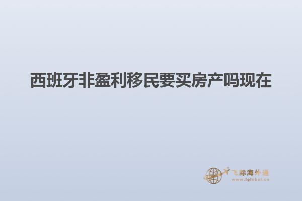 西班牙非盈利移民要买房产吗现在