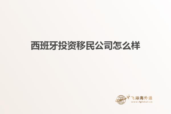 西班牙投资移民公司怎么样