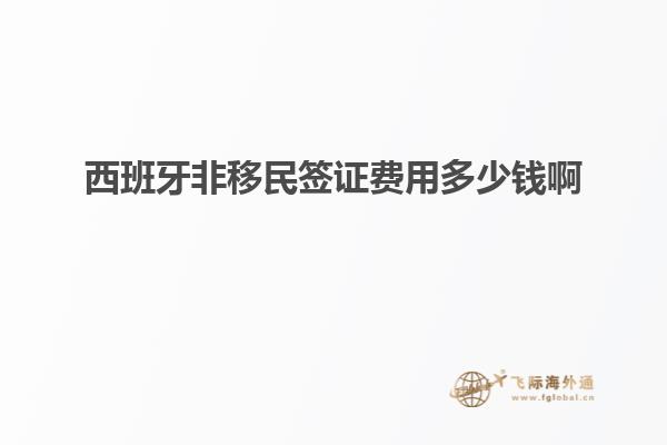 西班牙非移民签证费用多少钱啊