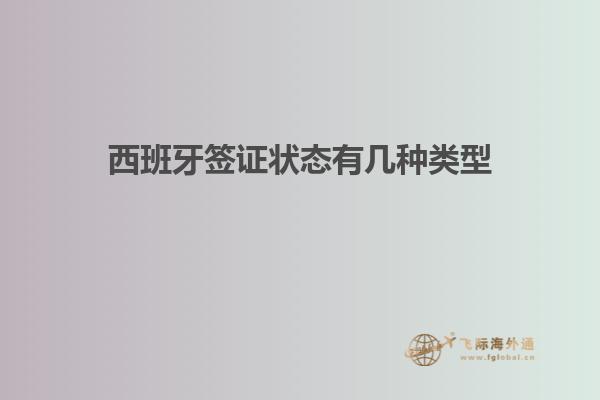 西班牙签证状态有几种类型