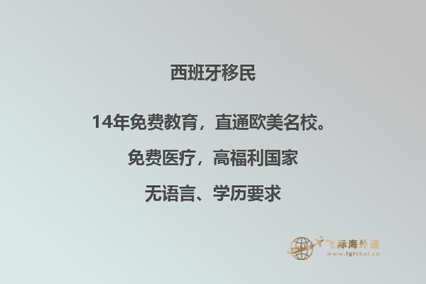 西班牙签证状态有几种类型