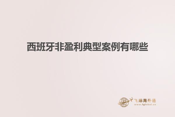 西班牙非盈利典型案例有哪些
