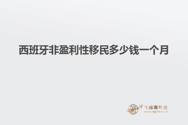 西班牙非盈利性移民多少钱一个月