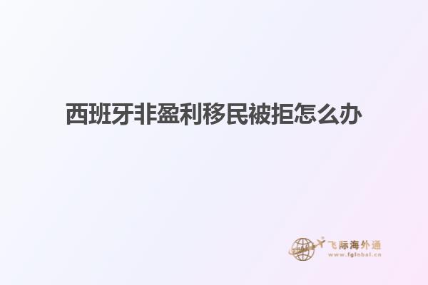 西班牙非盈利移民被拒怎么办
