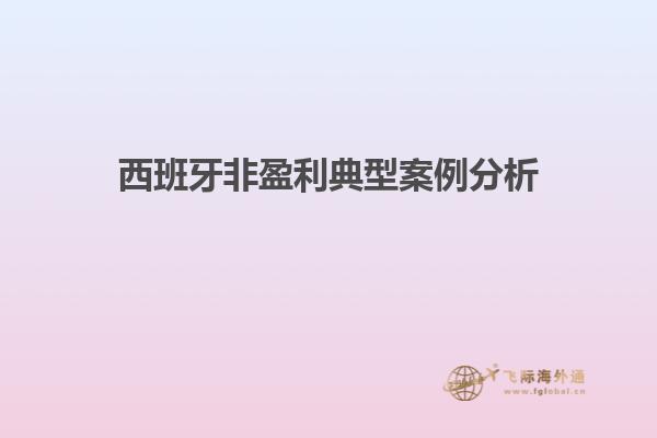 西班牙非盈利典型案例分析