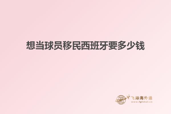 想当球员移民西班牙要多少钱