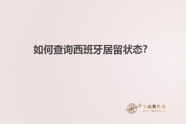 如何查询西班牙居留状态？