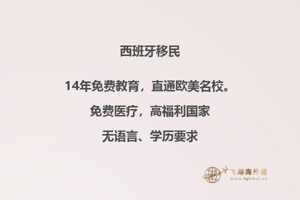 西班牙移民：如何参与非盈利项目？