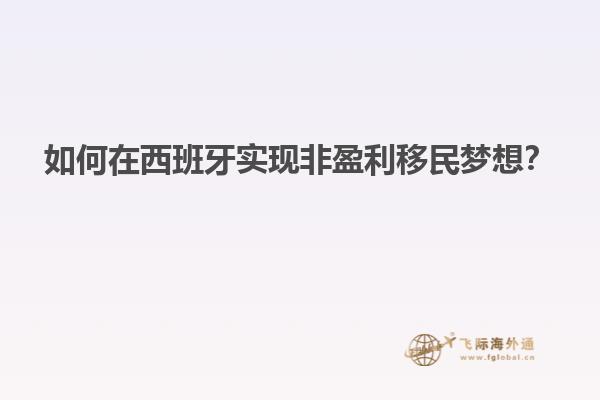 如何在西班牙实现非盈利移民梦想？