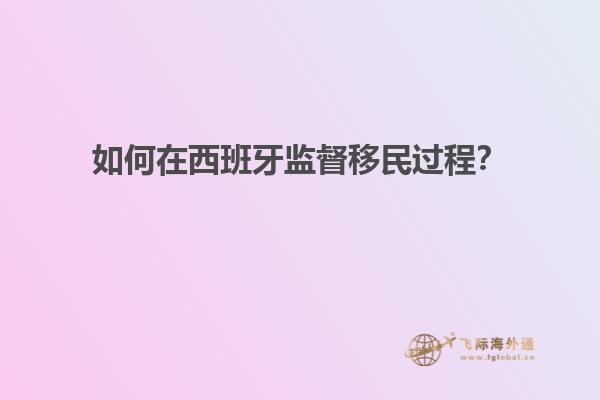 如何在西班牙监督移民过程？