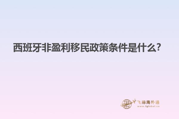 西班牙非盈利移民政策条件是什么？