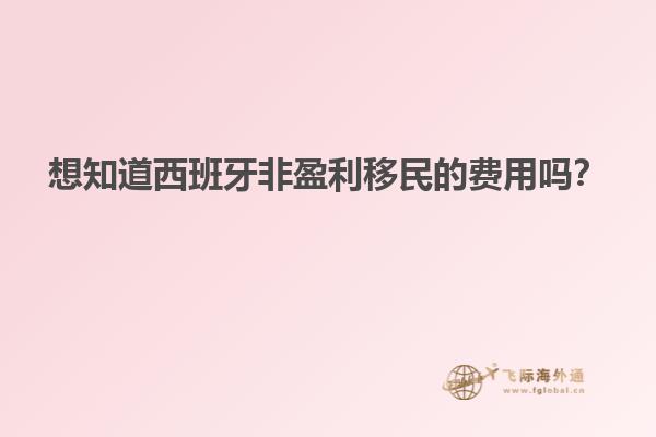 想知道西班牙非盈利移民的费用吗？