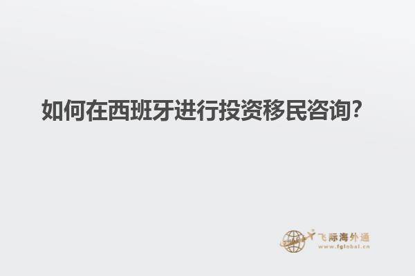 如何在西班牙进行投资移民咨询？