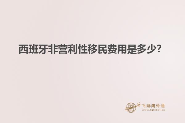 西班牙非营利性移民费用是多少？