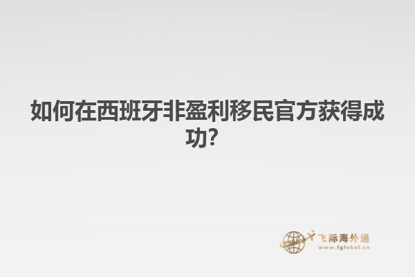 如何在西班牙非盈利移民官方获得成功？