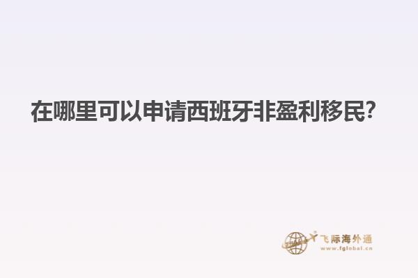 在哪里可以申请西班牙非盈利移民？