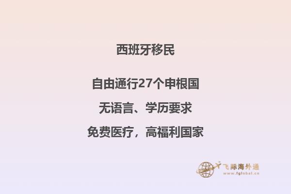 你听说过西班牙非盈利移民签证案例吗？