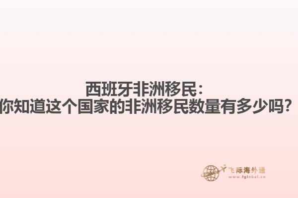 西班牙非洲移民：你知道这个国家的非洲移民数量有多少吗？