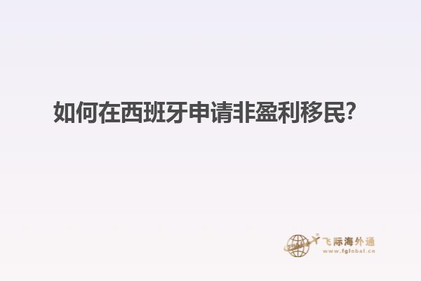 如何在西班牙申请非盈利移民？