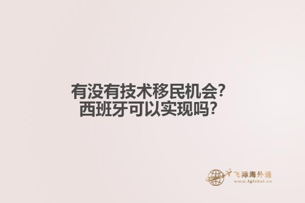 有没有技术移民机会？西班牙可以实现吗？