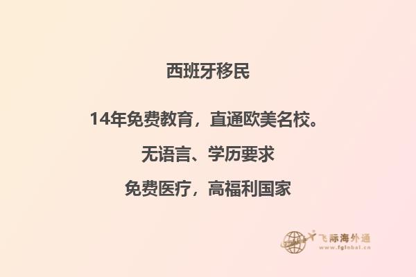 什么是西班牙非盈利典型案例？